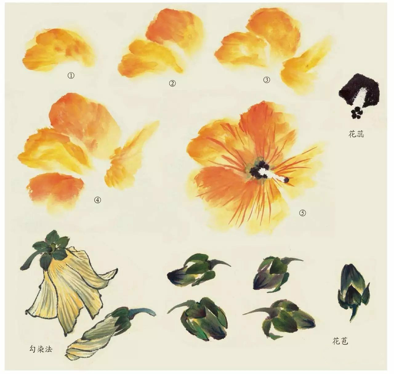 國(guó)畫技法：超詳細(xì)的國(guó)畫各種花卉畫法大全!
