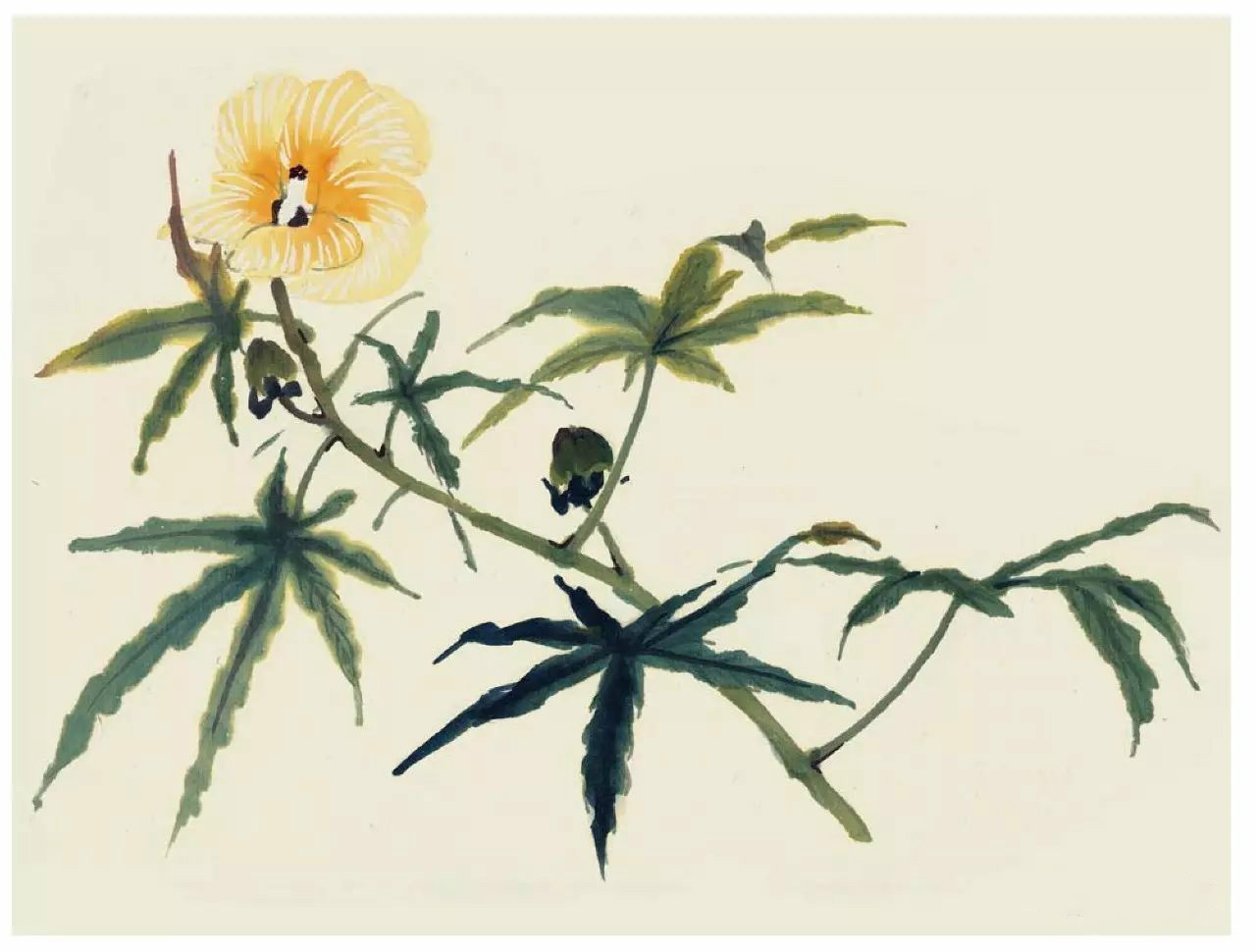 國(guó)畫技法：超詳細(xì)的國(guó)畫各種花卉畫法大全!