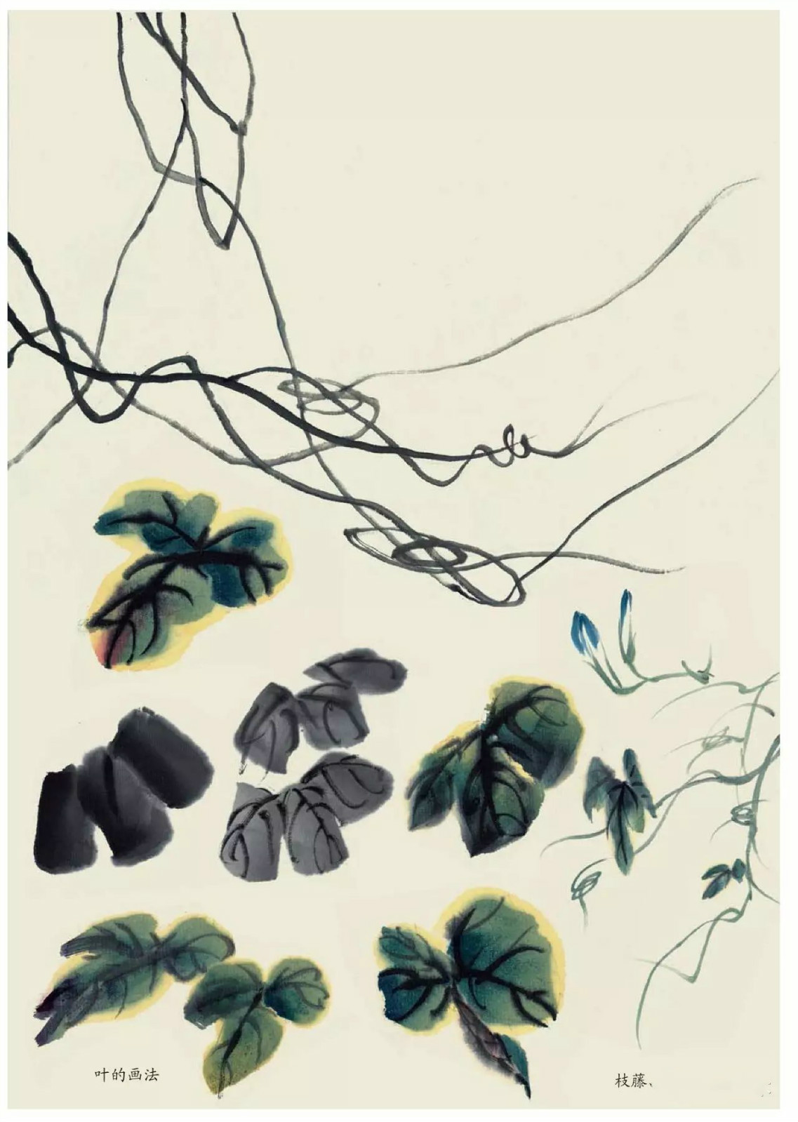 國畫技法：超詳細(xì)的國畫各種花卉畫法大全!