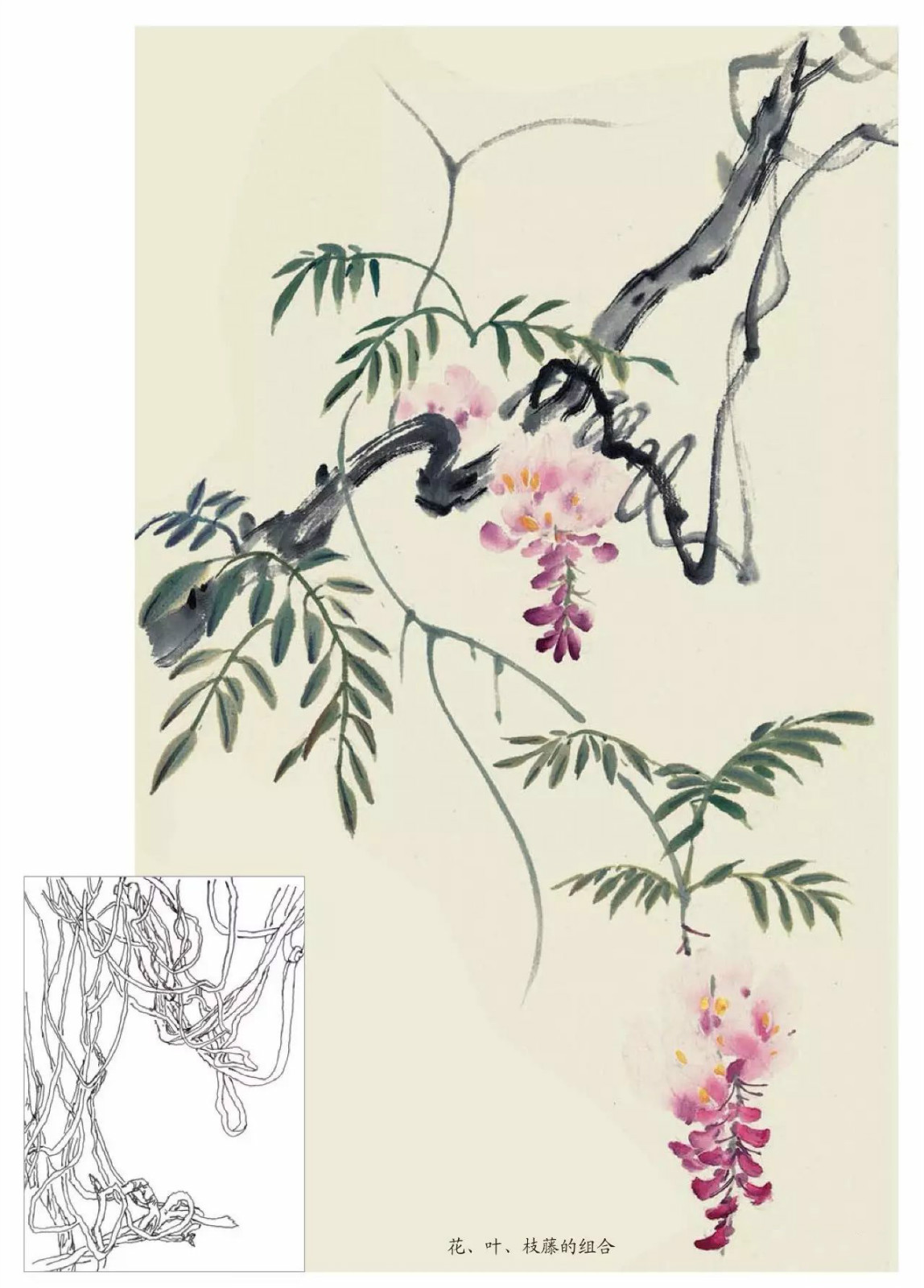 國畫技法：超詳細(xì)的國畫各種花卉畫法大全!