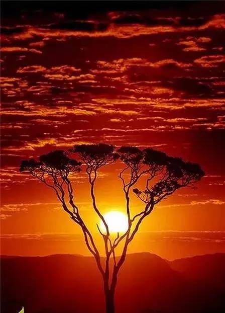 美到骨子里的夕陽風(fēng)景：青山依舊在，幾度夕陽