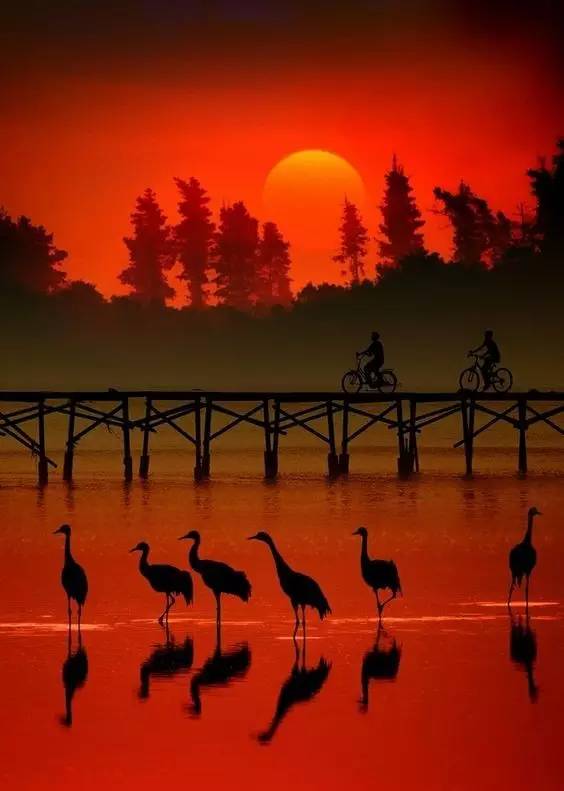 美到骨子里的夕陽(yáng)風(fēng)景：青山依舊在，幾度夕陽(yáng)