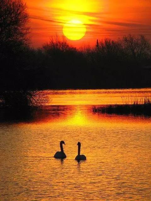 美到骨子里的夕陽(yáng)風(fēng)景：青山依舊在，幾度夕陽(yáng)