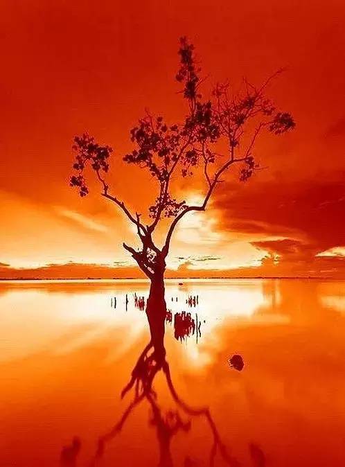 美到骨子里的夕陽(yáng)風(fēng)景：青山依舊在，幾度夕陽(yáng)