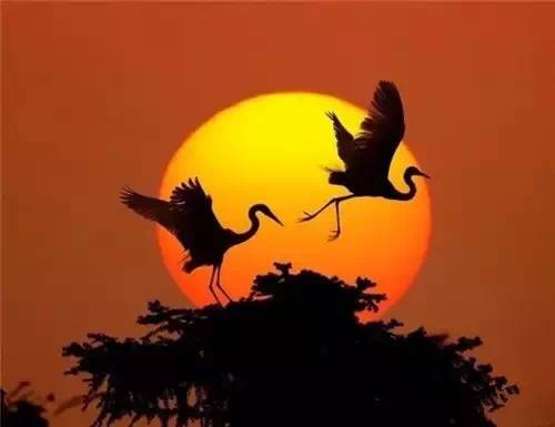 美到骨子里的夕陽風景：青山依舊在，幾度夕陽