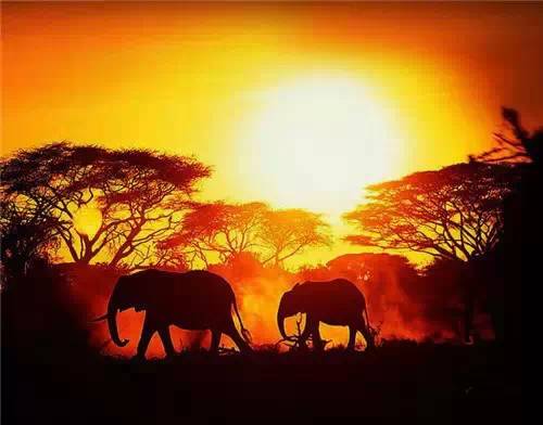 美到骨子里的夕陽風景：青山依舊在，幾度夕陽