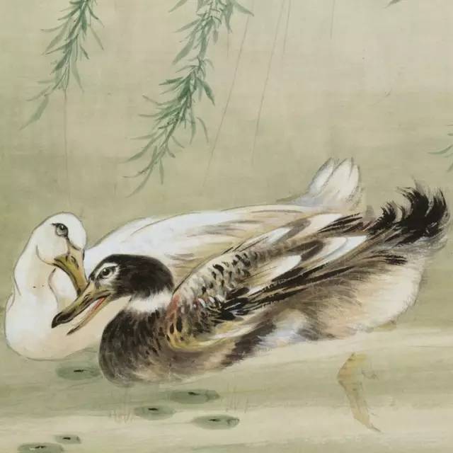 中國國畫藝術：絕美花鳥國畫圖片