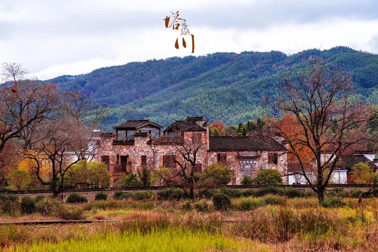 杭州·化城壹處，坐落在化城寺的佛元素里
