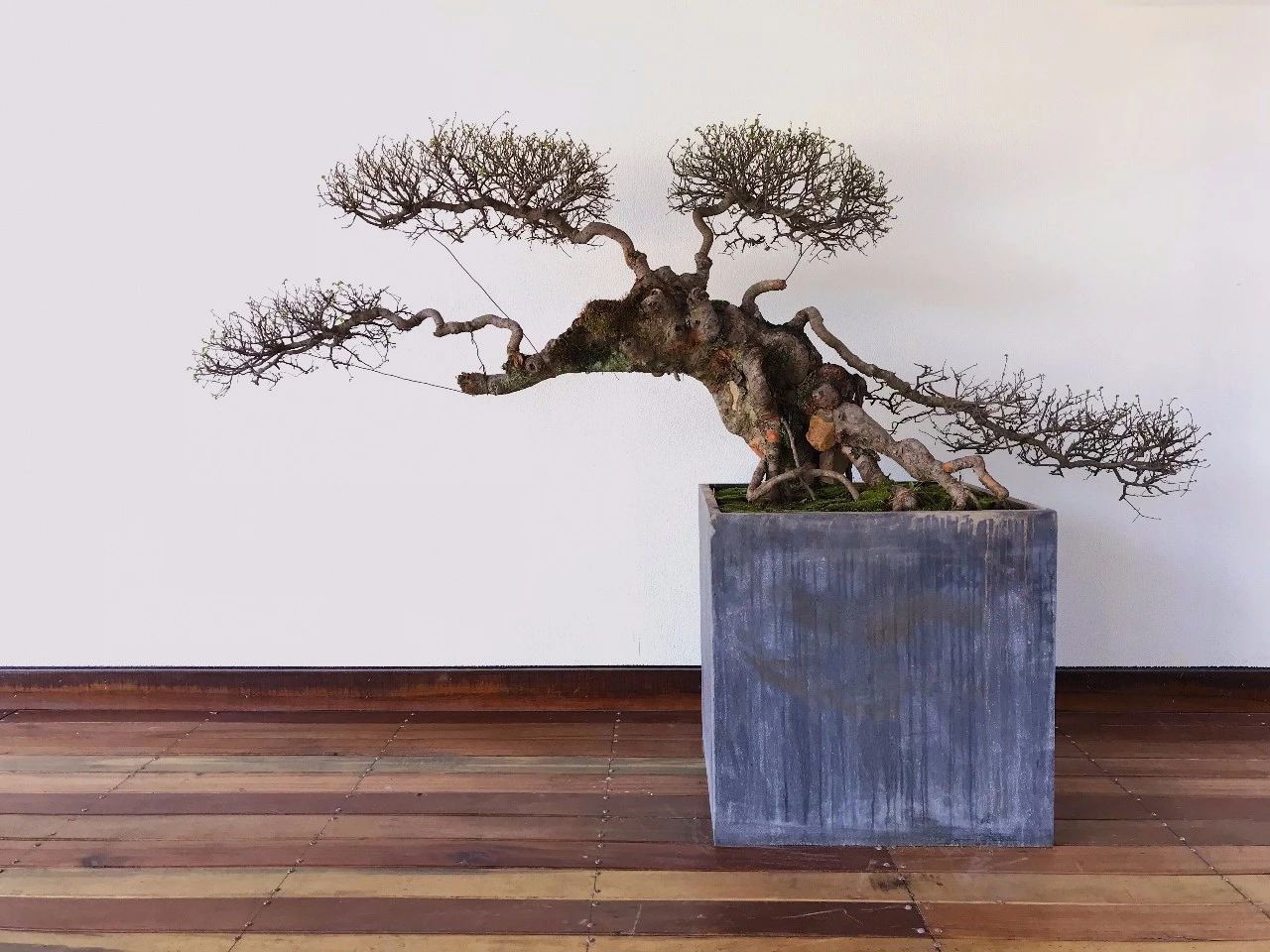 杭州·化城壹處，坐落在化城寺的佛元素里