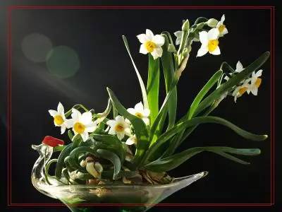 詩意風(fēng)景：一花一世界，一詩一情懷