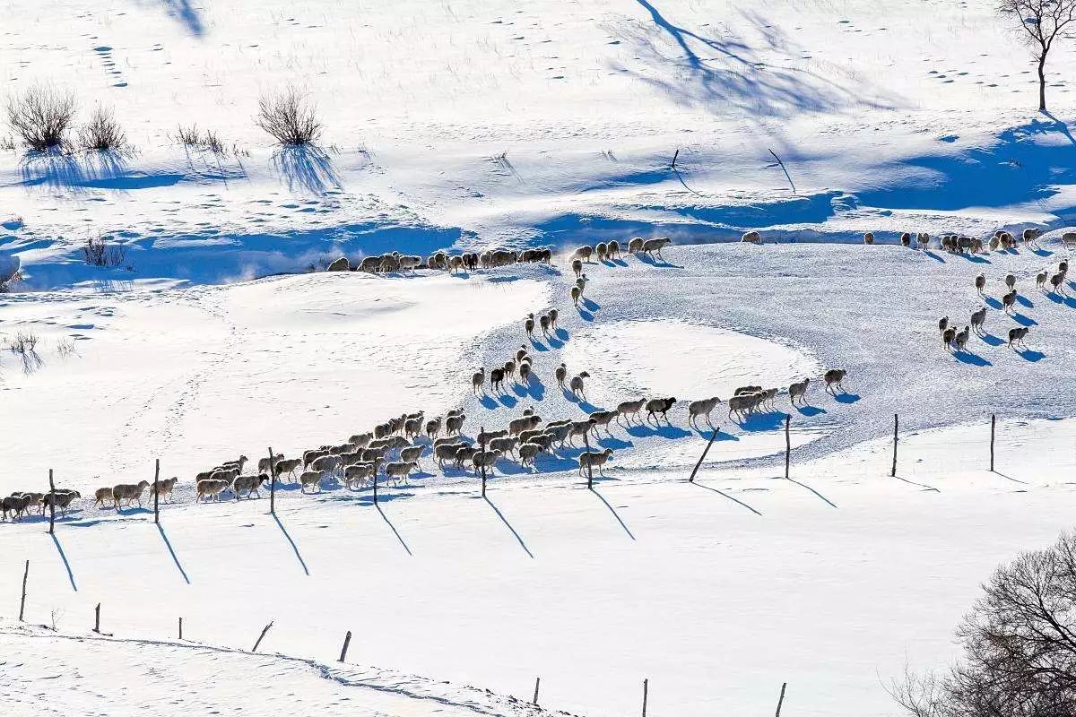 承德·衍居院上野奢度假，策馬奔騰活得瀟瀟灑灑