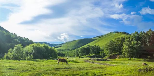 承德·衍居院上野奢度假，策馬奔騰活得瀟瀟灑灑