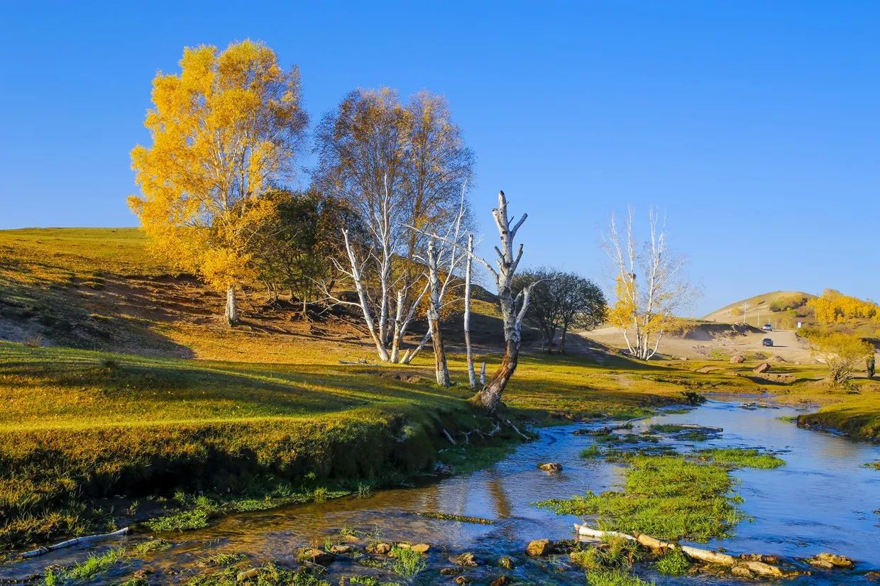 承德·衍居院上野奢度假，策馬奔騰活得瀟瀟灑灑