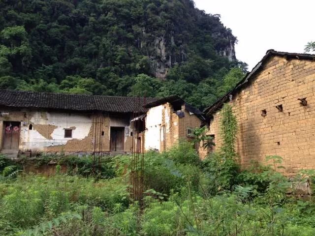 陽朔·芒果憶墅，用芒果記錄每一個(gè)美好瞬間