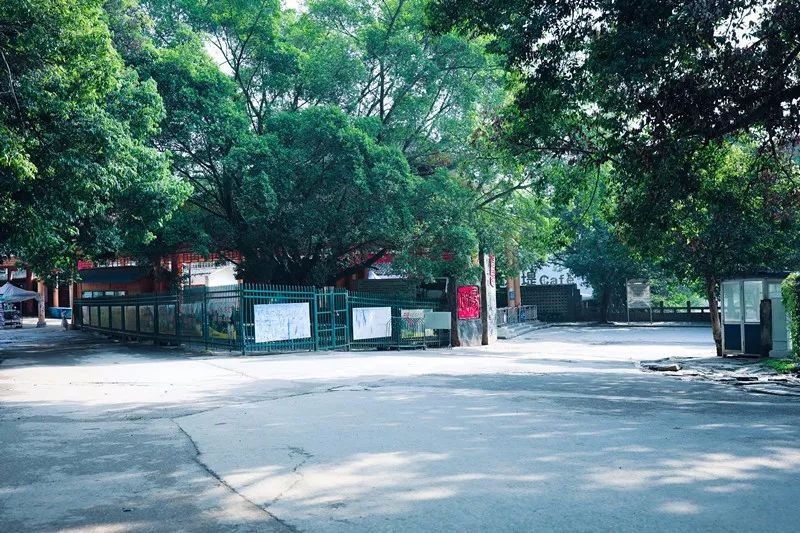 陽朔·芒果憶墅，用芒果記錄每一個(gè)美好瞬間