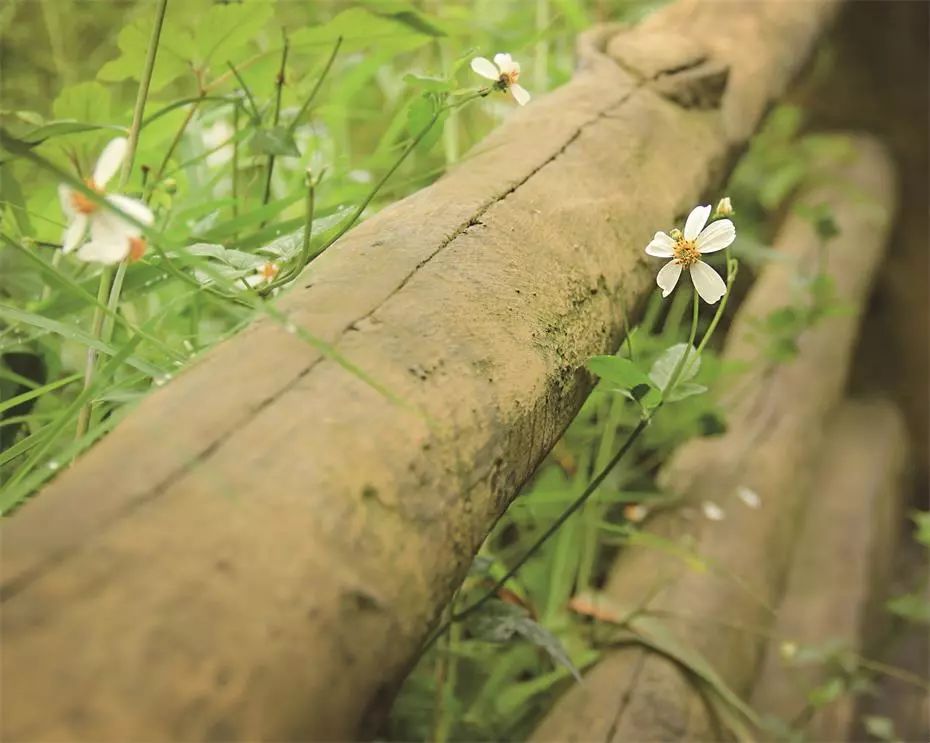 貴州·群山之心，因?yàn)閴?mèng)想所有辛勞皆喜悅