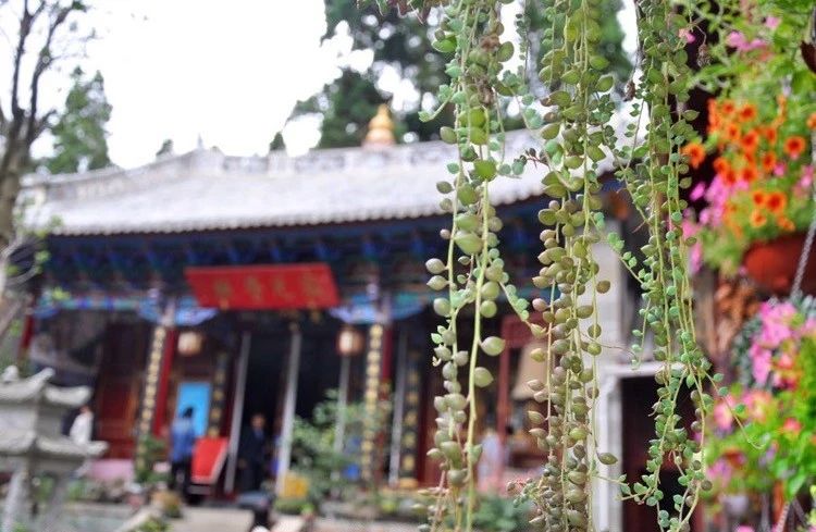 寂照庵--中國(guó)最文藝尼姑庵：心若無塵一花一世界