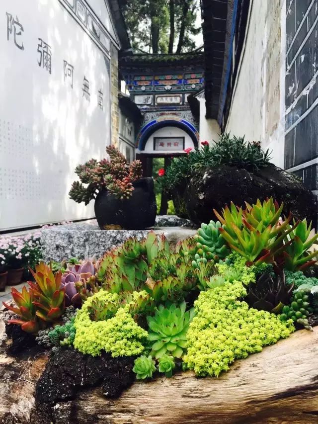 寂照庵--中國(guó)最文藝尼姑庵：心若無塵一花一世界