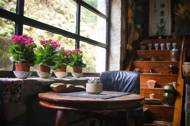 寂照庵--中國(guó)最文藝尼姑庵：心若無(wú)塵一花一世界