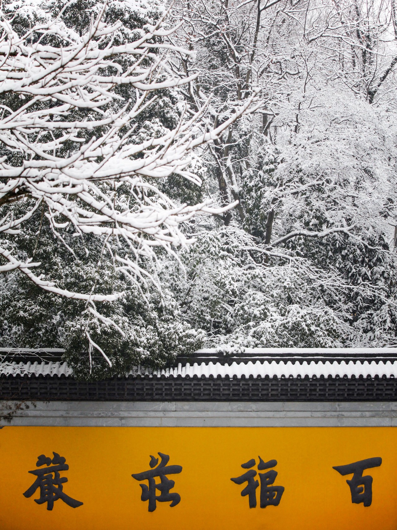 中國(guó)最美的寺廟----杭州·永福寺