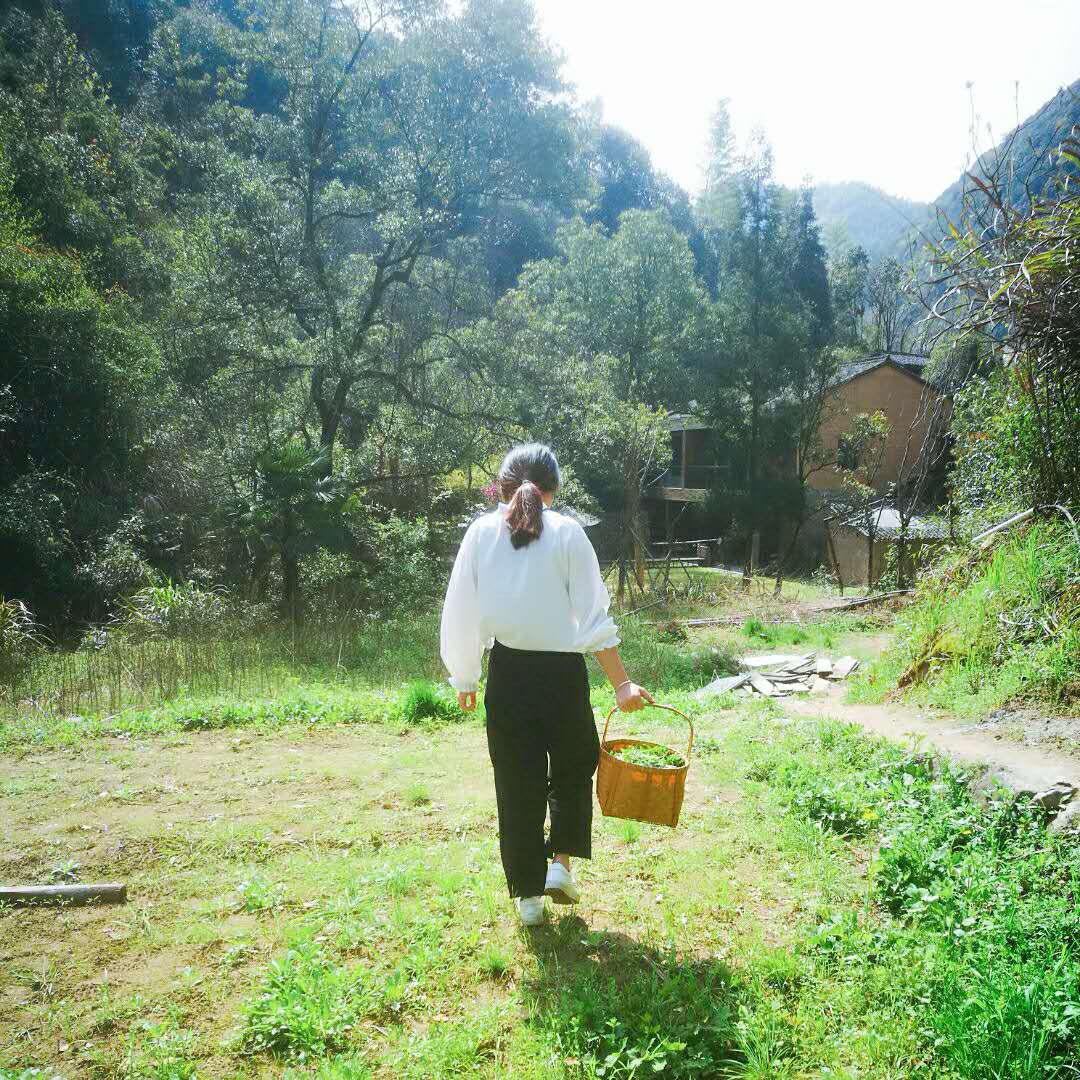 桐廬·水喜，太陽(yáng)東升西落便是一天的標(biāo)記