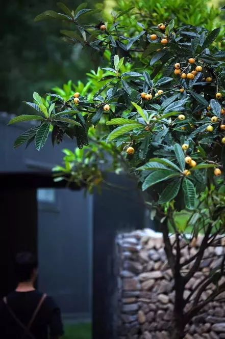 桐廬·水喜，太陽東升西落便是一天的標(biāo)記