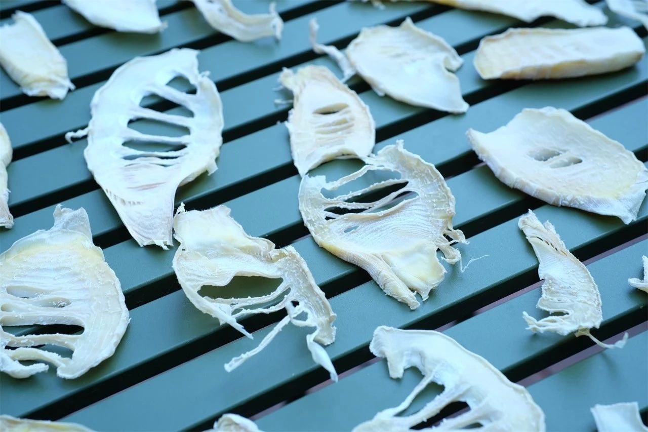 桐廬·水喜，太陽東升西落便是一天的標(biāo)記