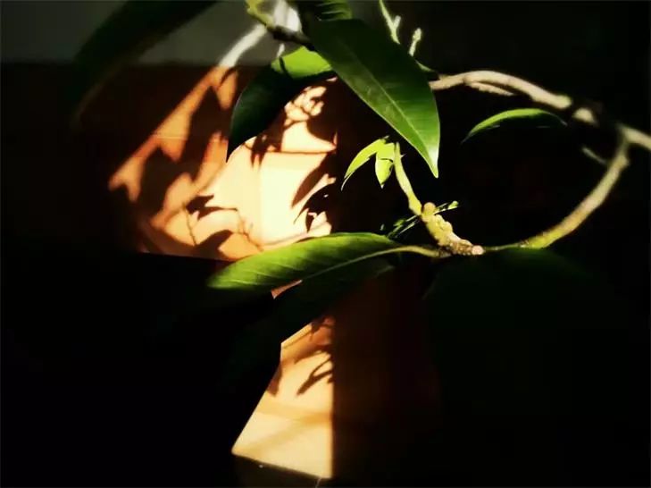 桐廬·水喜，太陽東升西落便是一天的標記