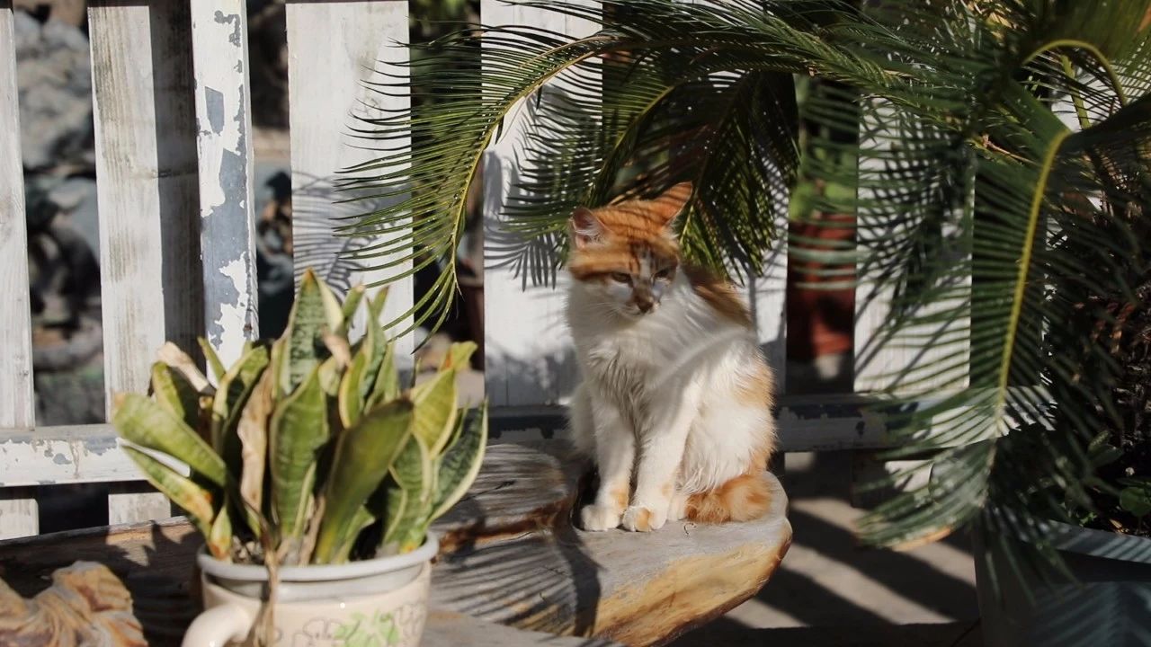 廈門·十二舍，解鎖十二的新含義