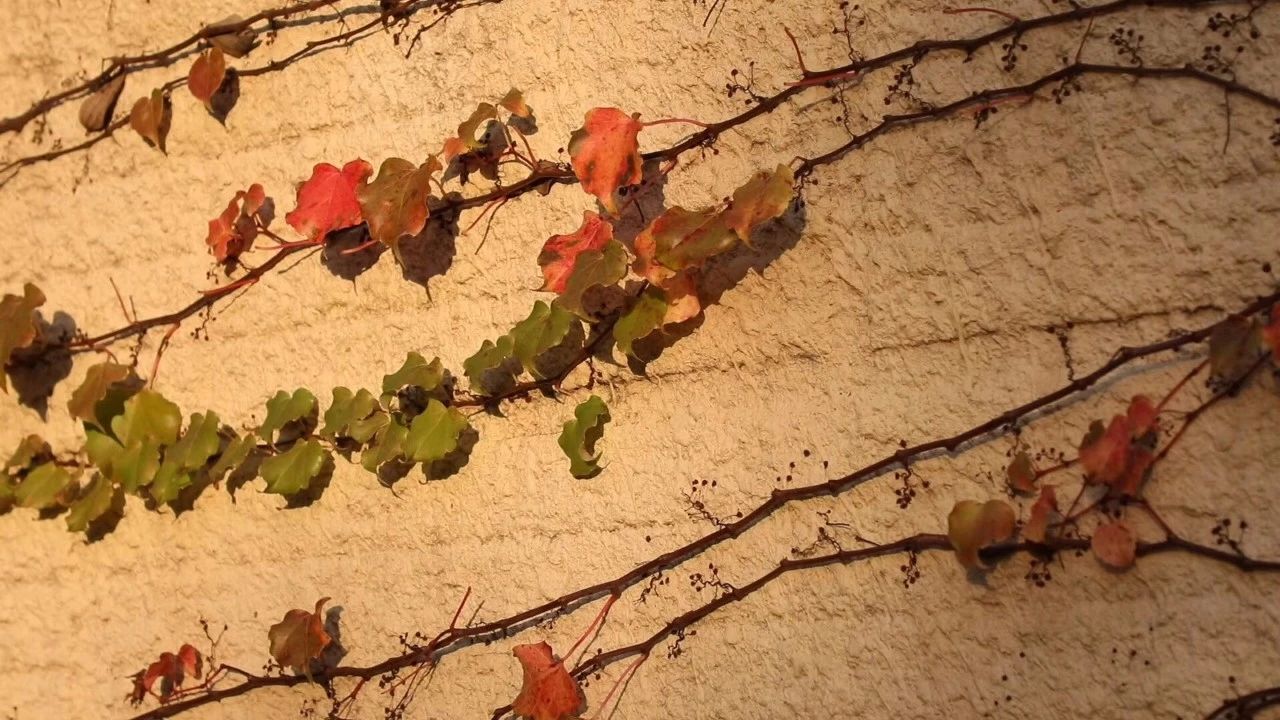 廈門·十二舍，解鎖十二的新含義