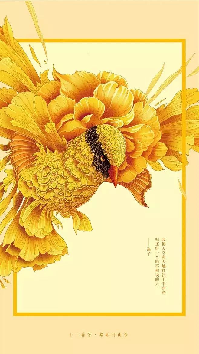 十二花令插畫圖片：以花為媒四季流轉(zhuǎn)