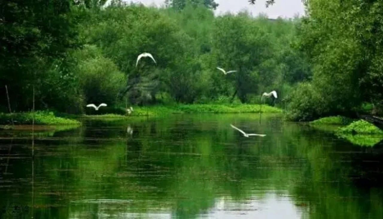 杭州西溪·素上藝術(shù)酒店，春天最美好的奇遇