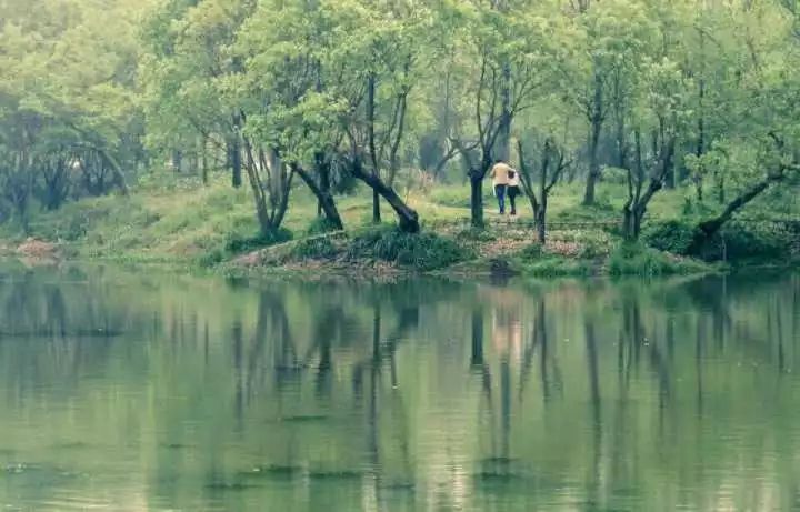 杭州西溪·素上藝術(shù)酒店，春天最美好的奇遇