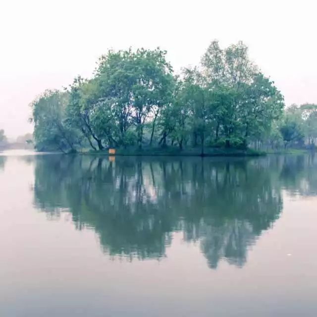 杭州西溪·素上藝術(shù)酒店，春天最美好的奇遇