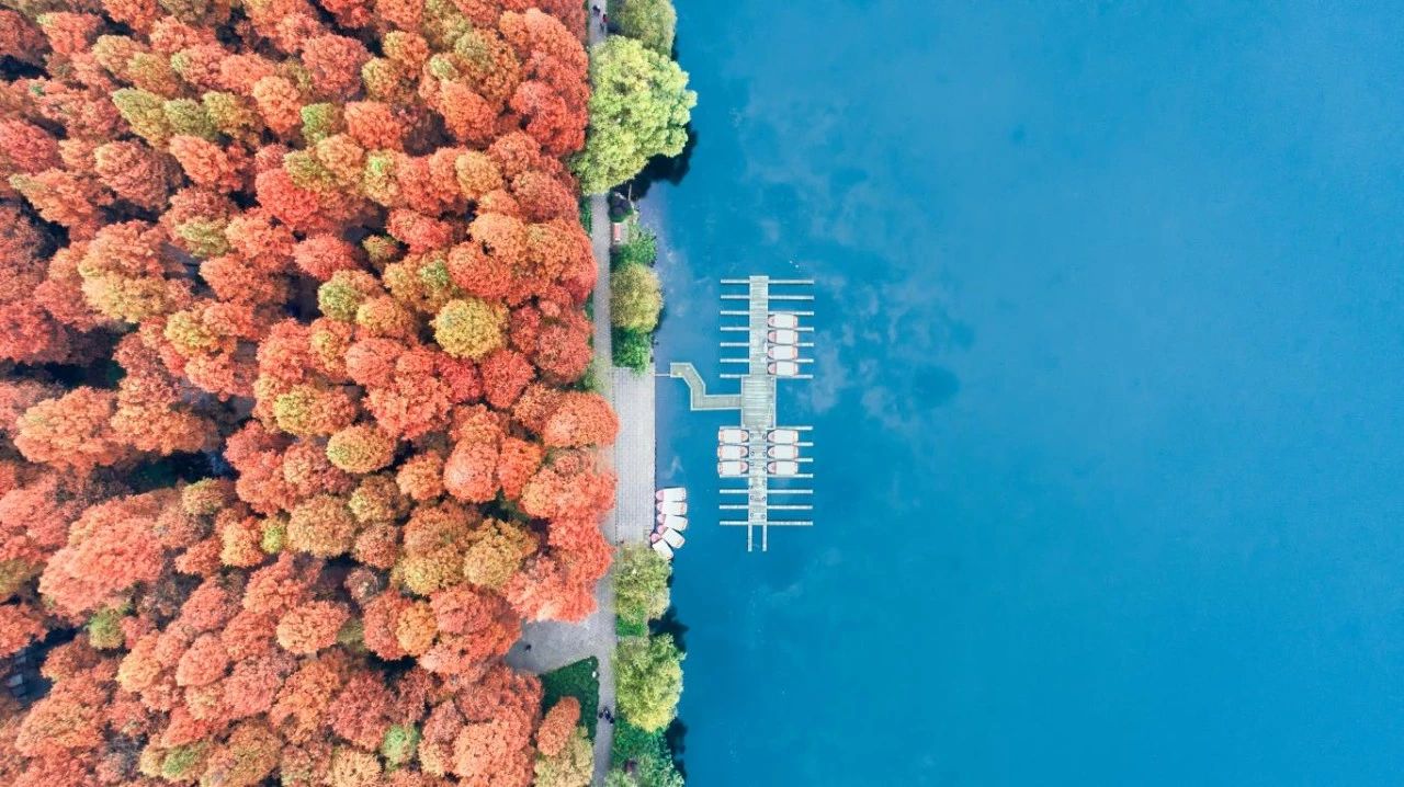 杭州西溪·素上藝術(shù)酒店，春天最美好的奇遇