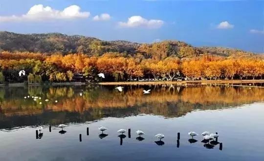 杭州西溪·素上藝術(shù)酒店，春天最美好的奇遇