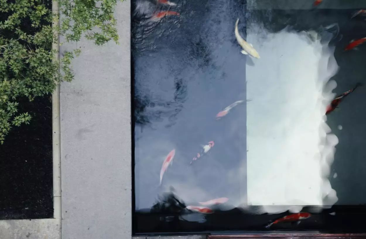 杭州西溪·素上藝術(shù)酒店，春天最美好的奇遇