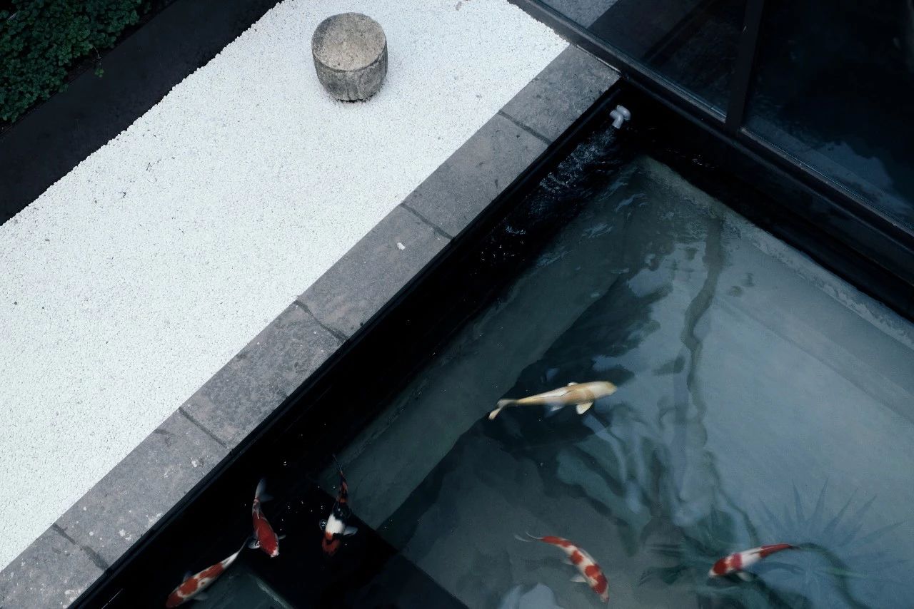 杭州西溪·素上藝術(shù)酒店，春天最美好的奇遇