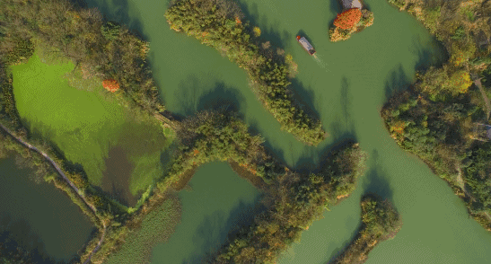 杭州西溪·素上藝術(shù)酒店，春天最美好的奇遇