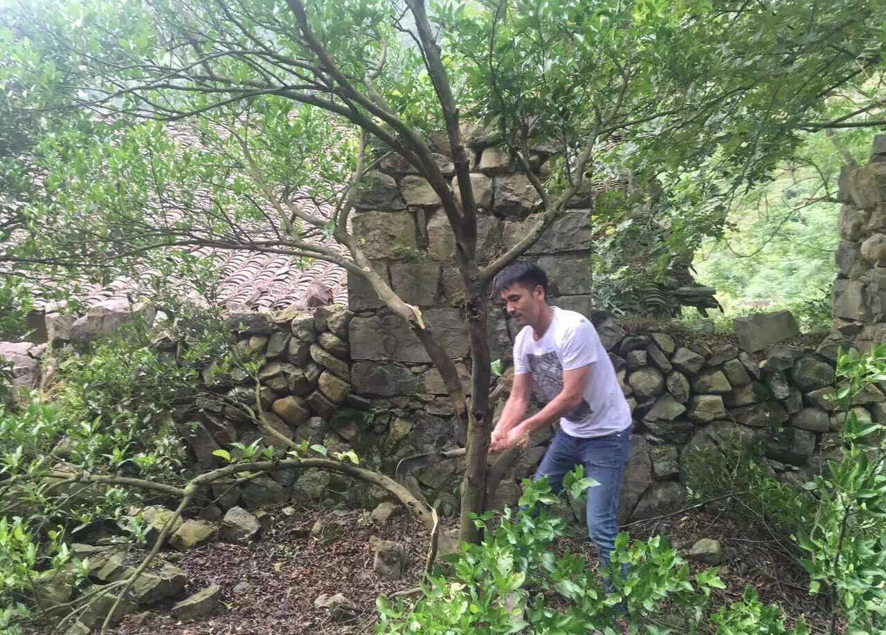 青田坐忘閣·藏書閣民宿，找回初心尋找回家的路