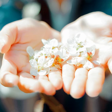 花開半夏女生頭像，唯美古風(fēng)真人頭像