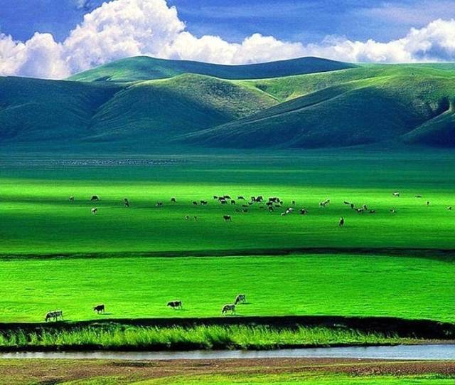 如詩(shī)如畫的草原意境，唯美風(fēng)景圖片！