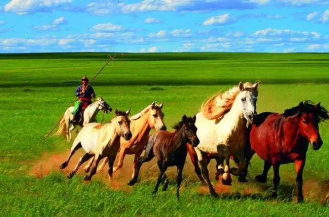 如詩(shī)如畫的草原意境，唯美風(fēng)景圖片！