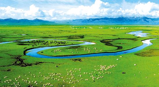 如詩如畫的草原意境，唯美風(fēng)景圖片！