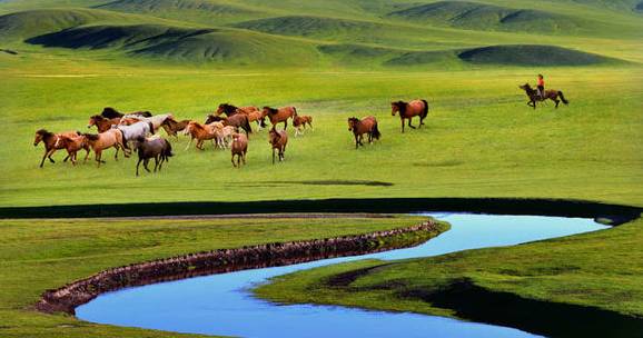 如詩如畫的草原意境，唯美風(fēng)景圖片！