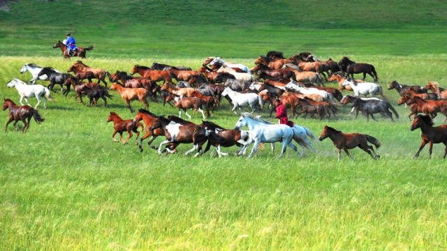 如詩如畫的草原意境，唯美風(fēng)景圖片！
