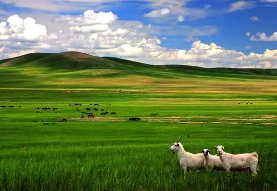 如詩如畫的草原意境，唯美風景圖片！