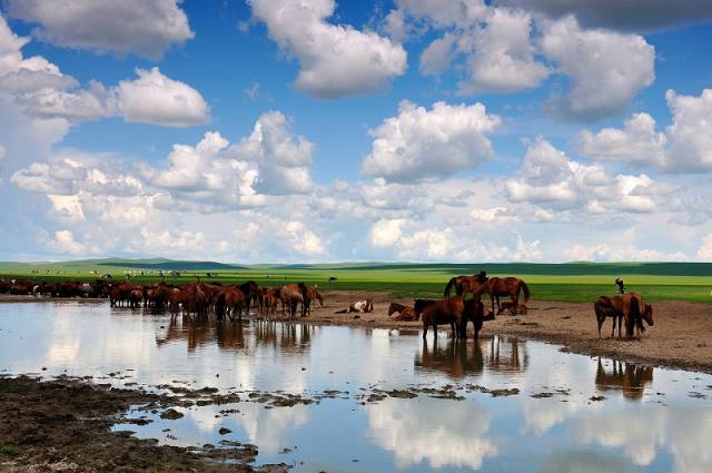 如詩(shī)如畫(huà)的草原意境，唯美風(fēng)景圖片！