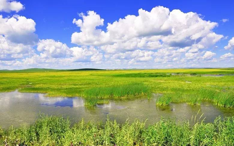 如詩如畫的草原意境，唯美風景圖片！