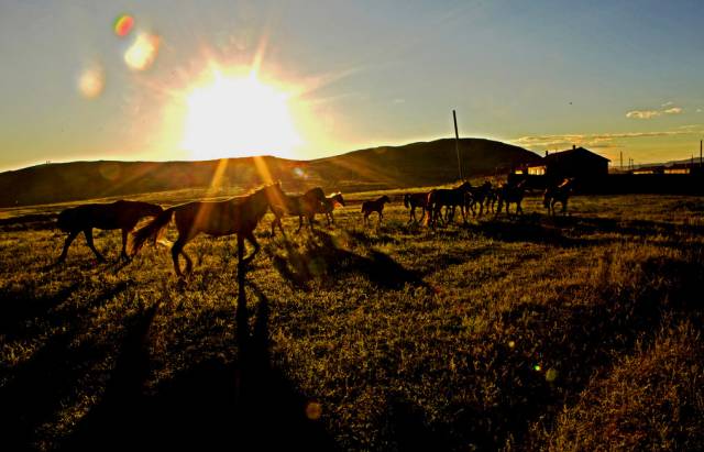 如詩(shī)如畫(huà)的草原意境，唯美風(fēng)景圖片！